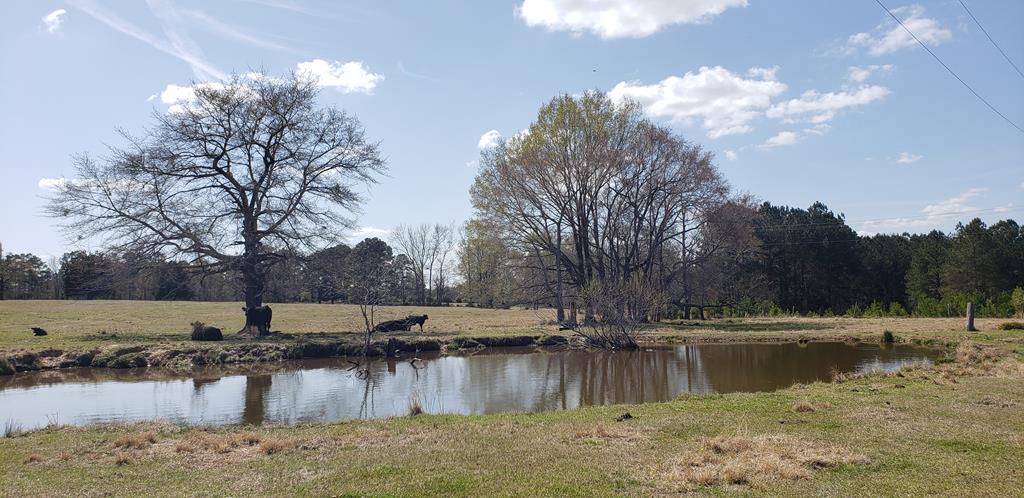 716 Augusta Rd, Edgefield, SC 29824