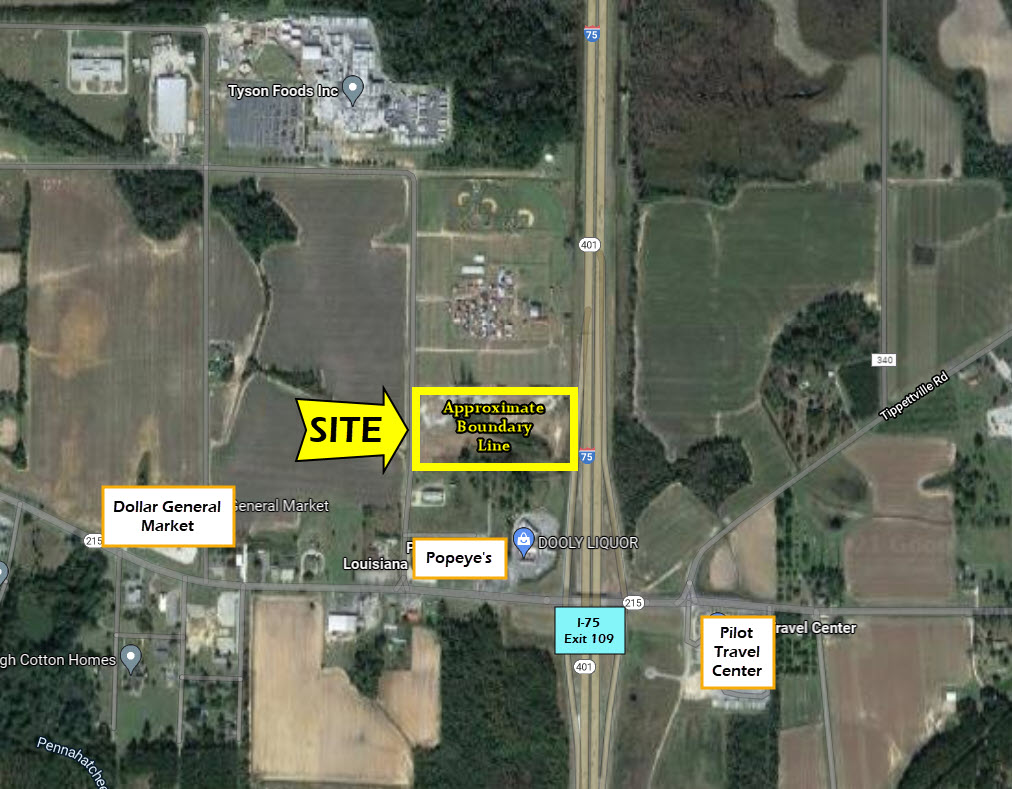 250 Pig Jig Blvd, Vienna, GA 31092