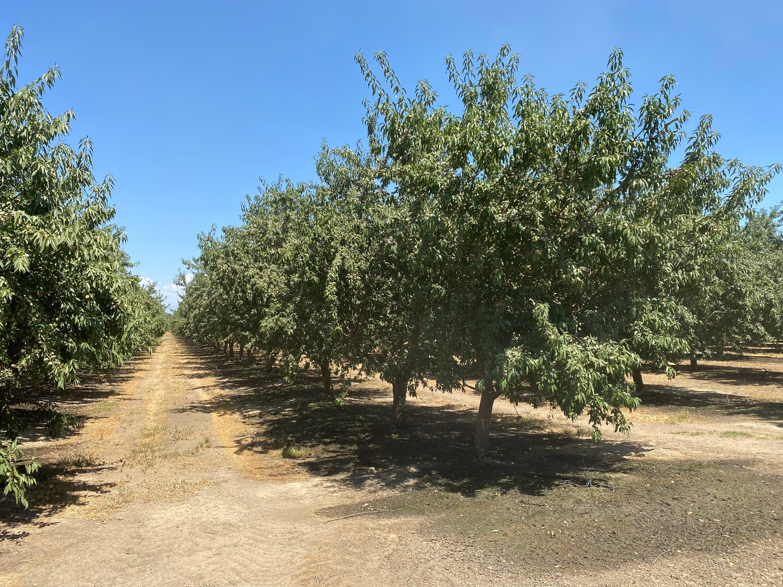 16029 Avenue 136, Tipton, CA 93272