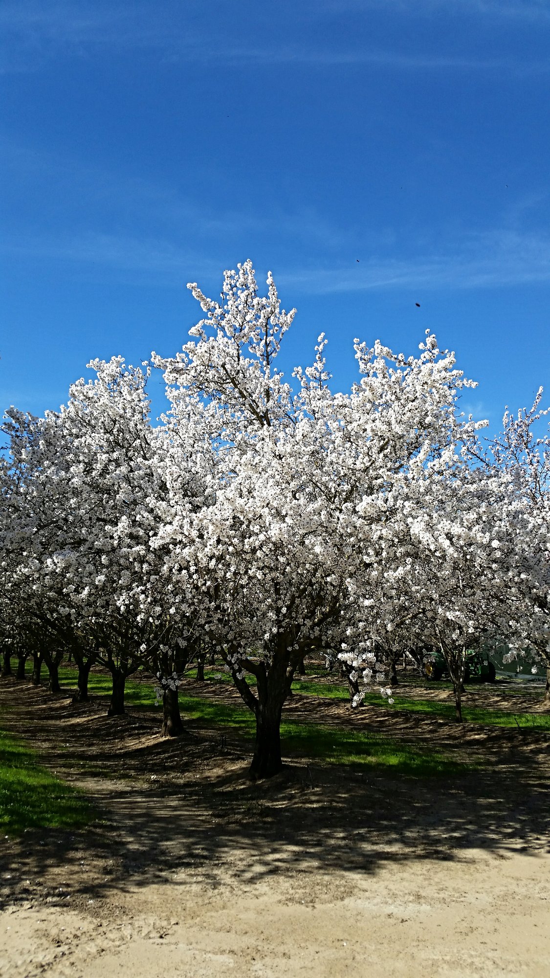 5310 Kilkenny Rd, Vacaville, CA 95687