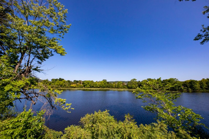 67 Crescent St, Waltham, MA 02453