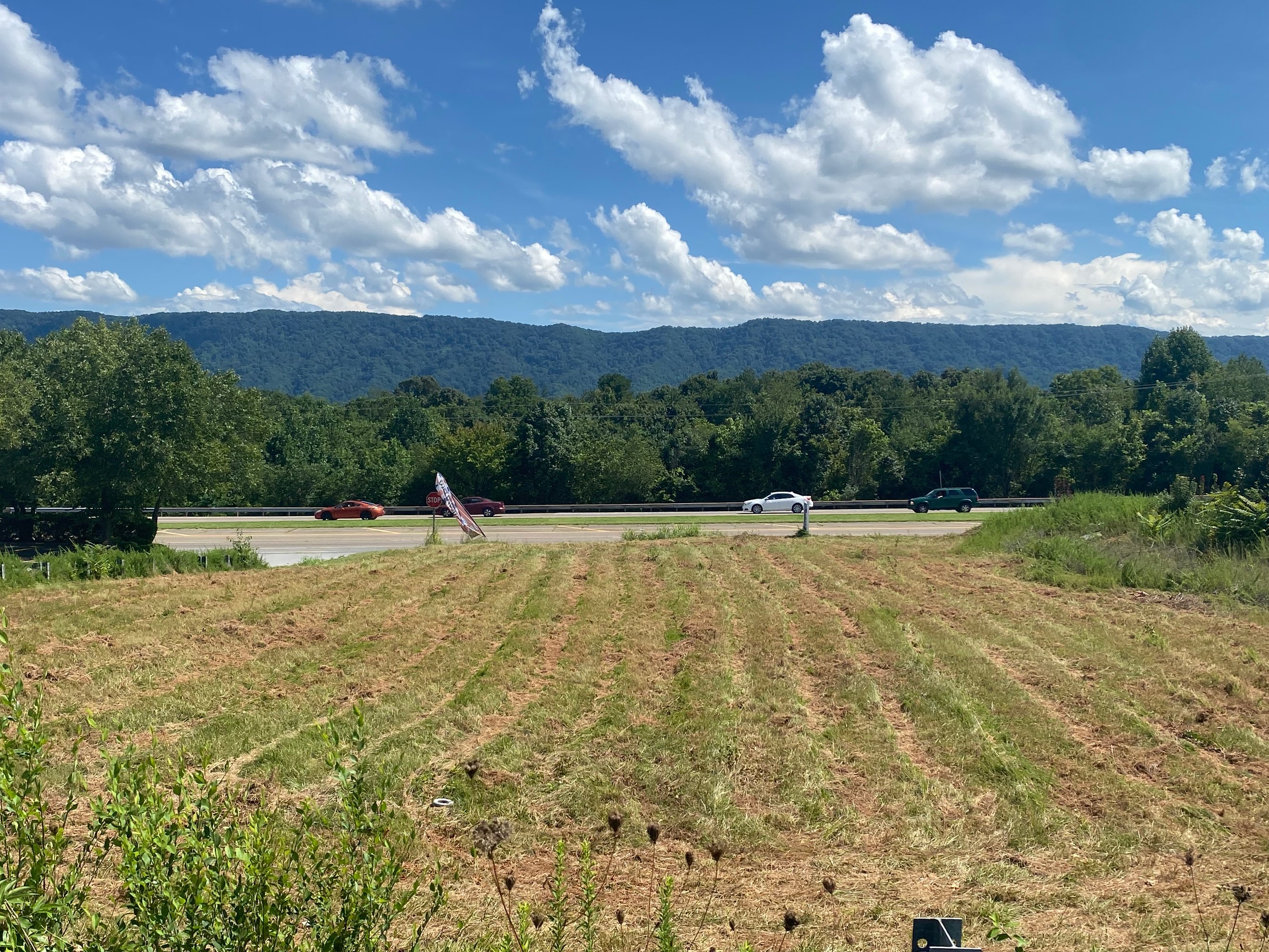 4528 W Stone Dr, Kingsport, TN 37660