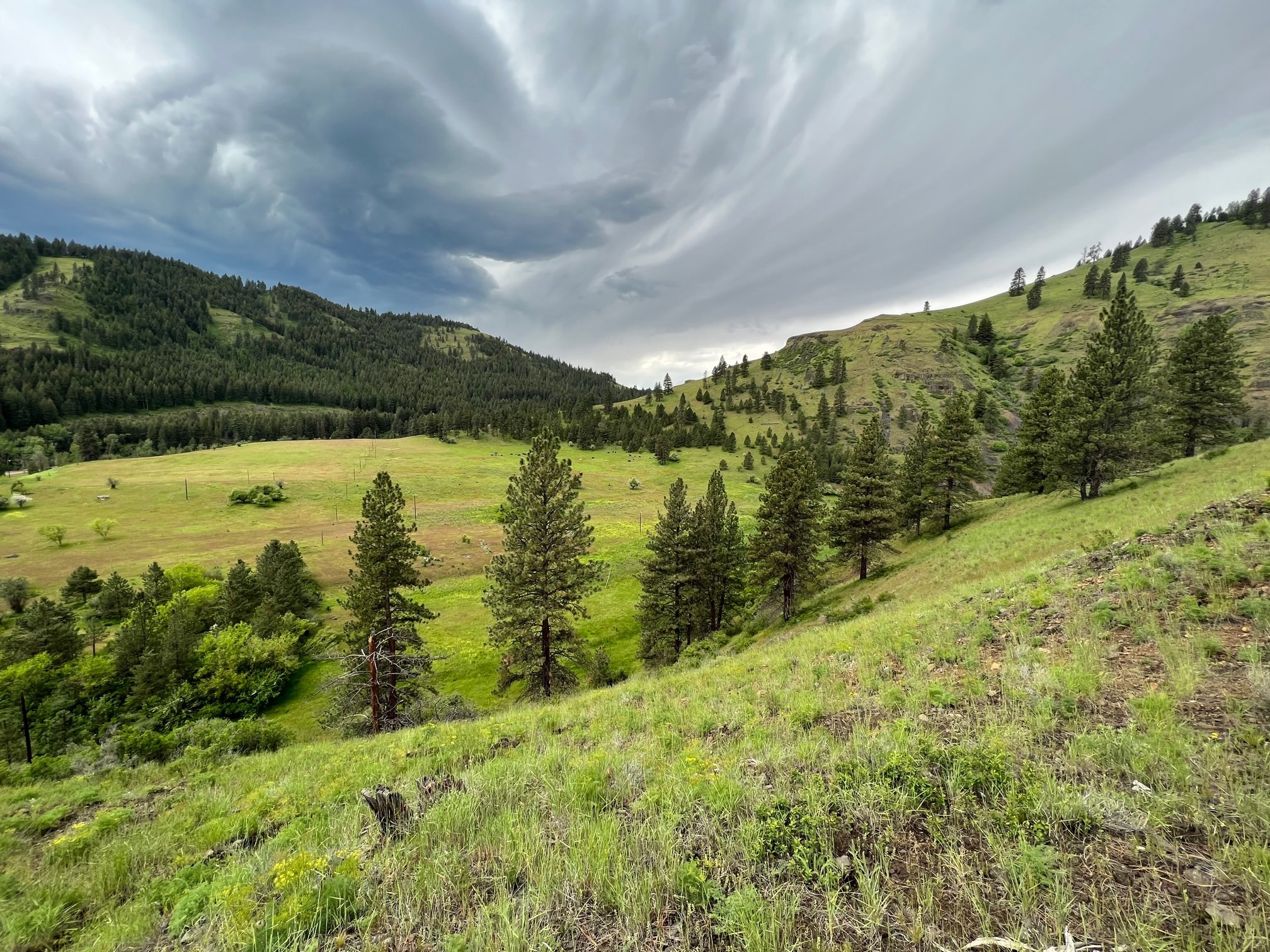 62153 Mathson Rd, La Grande, OR 97850