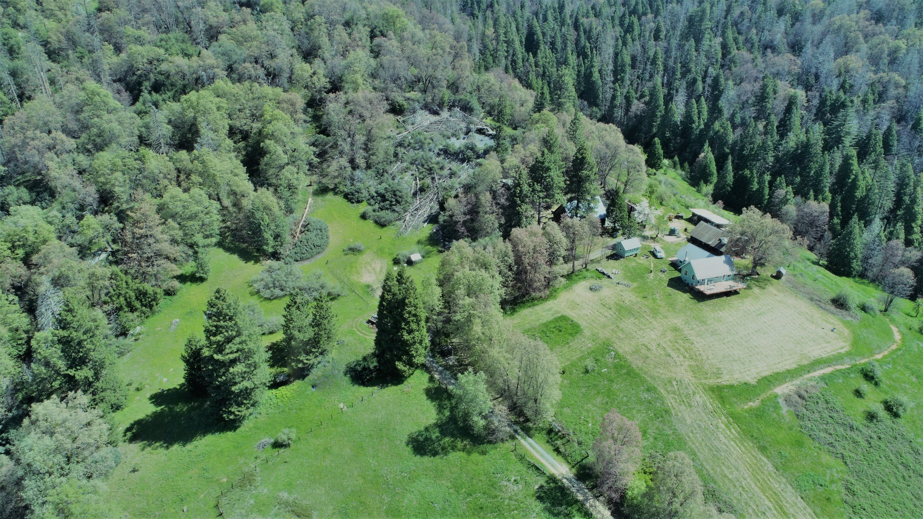 43267 Bear Creek Rd, Springville, CA 93265
