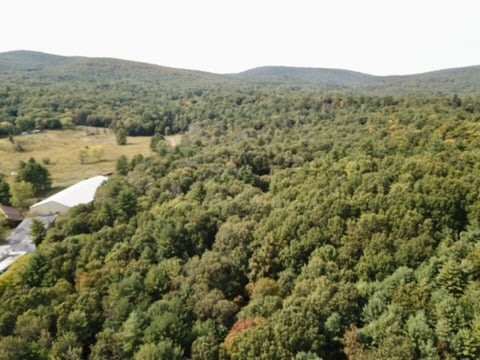 359 Phillipsport Rd N, Wurtsboro, NY 12790