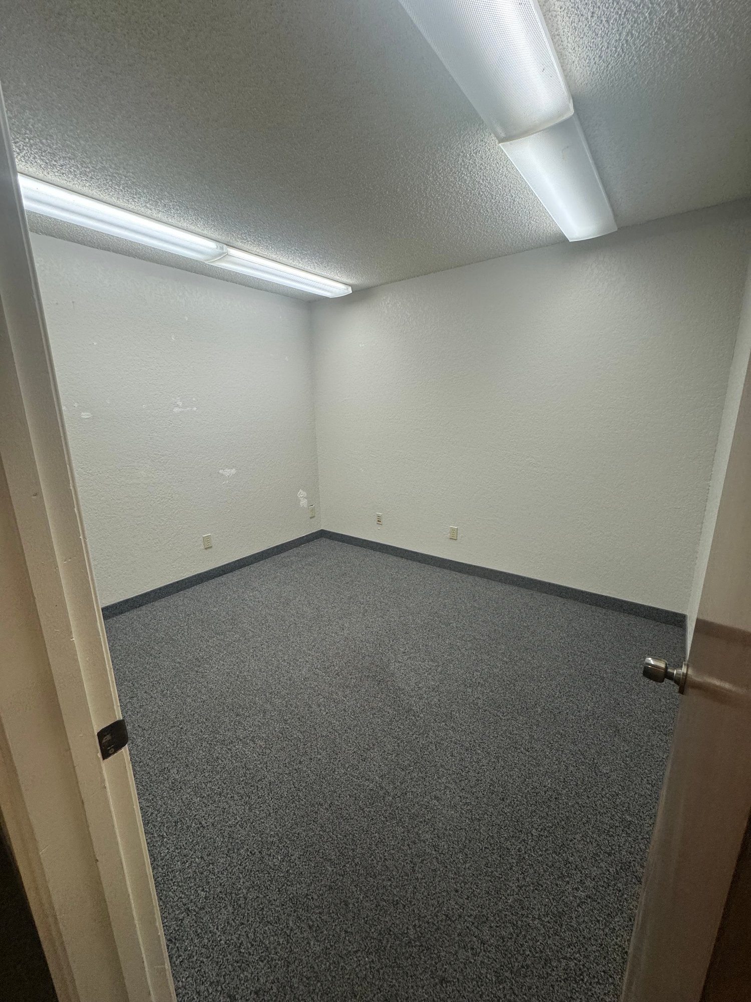 3238564