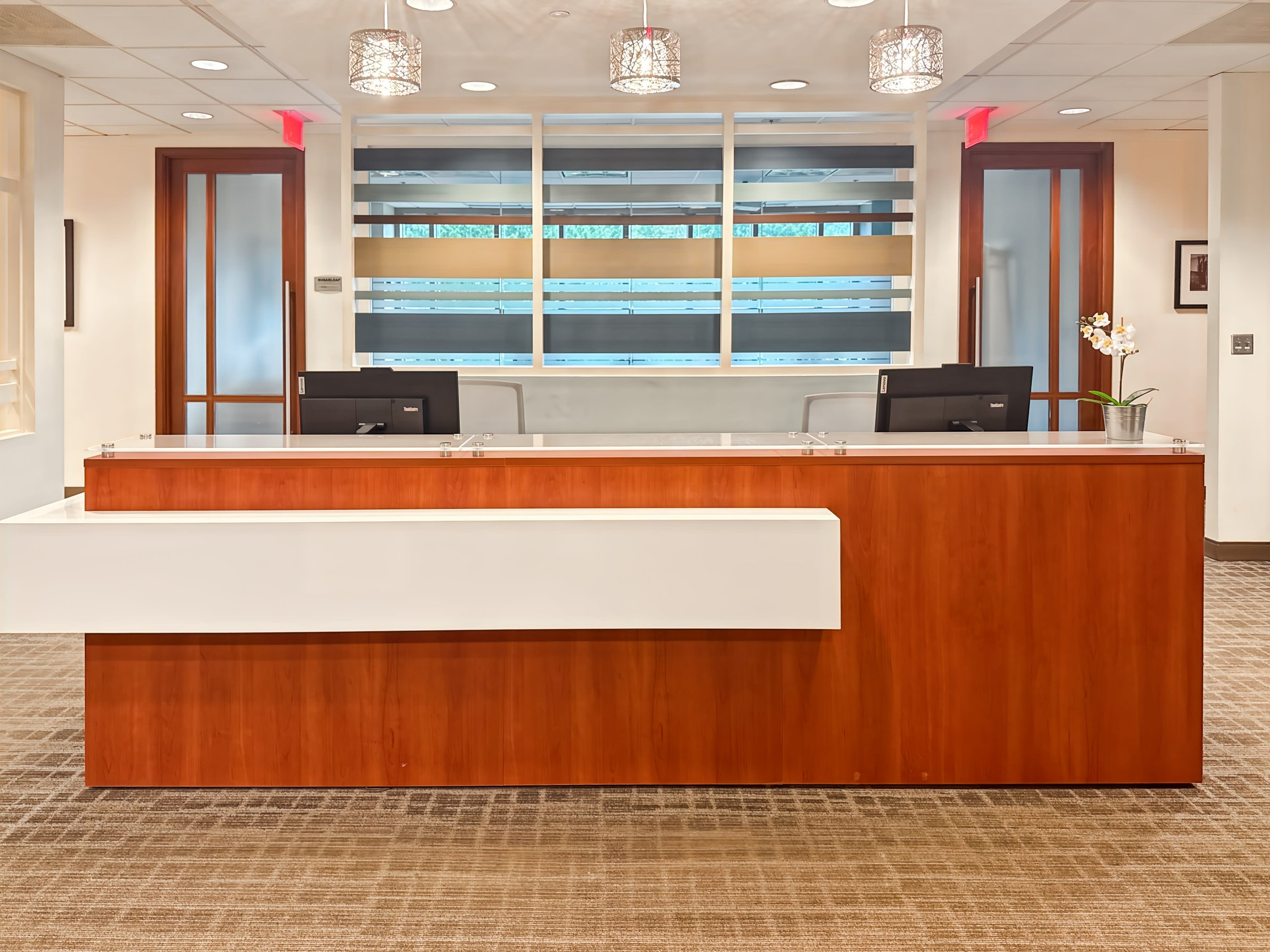 3623331