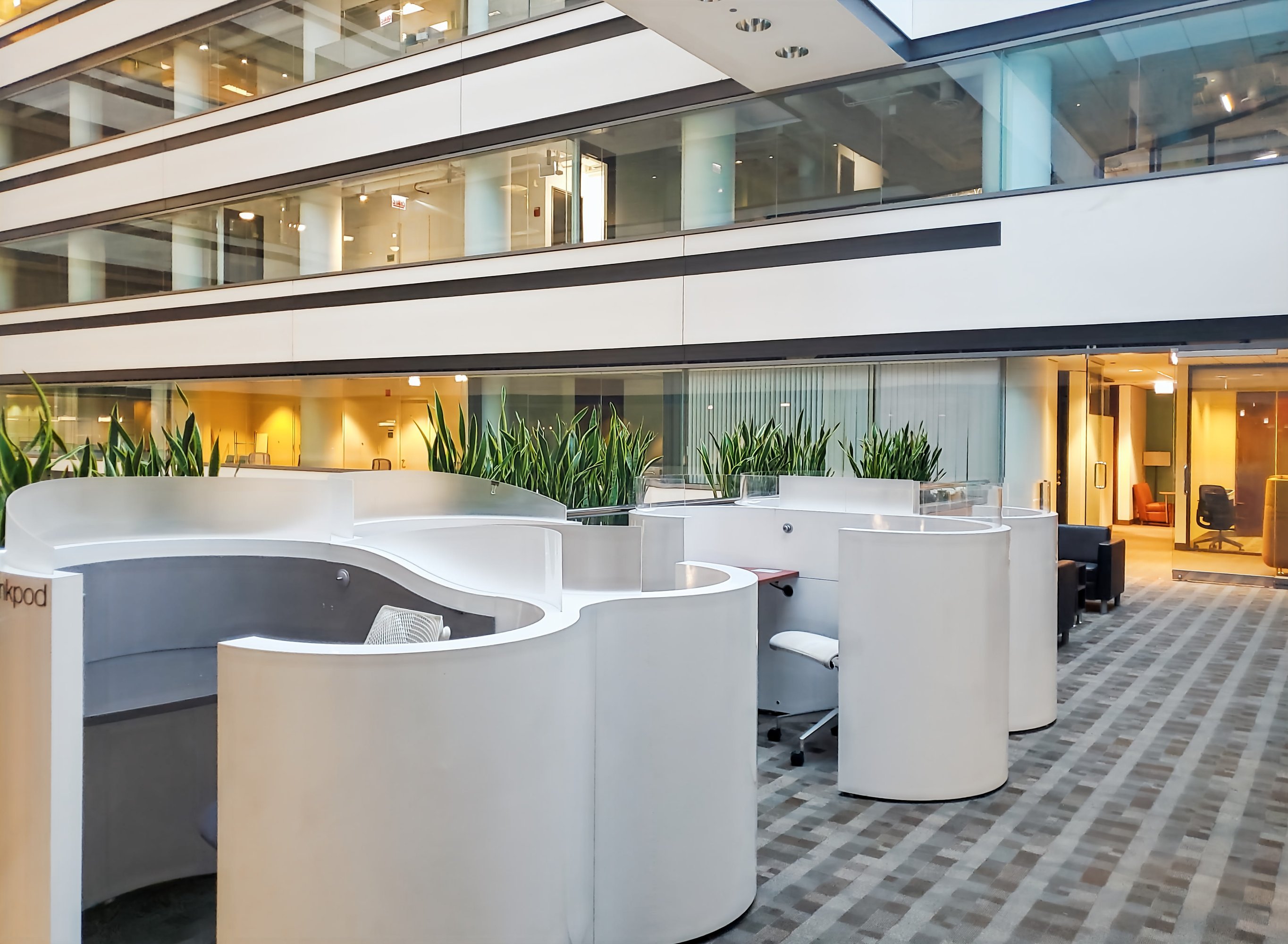 3629293