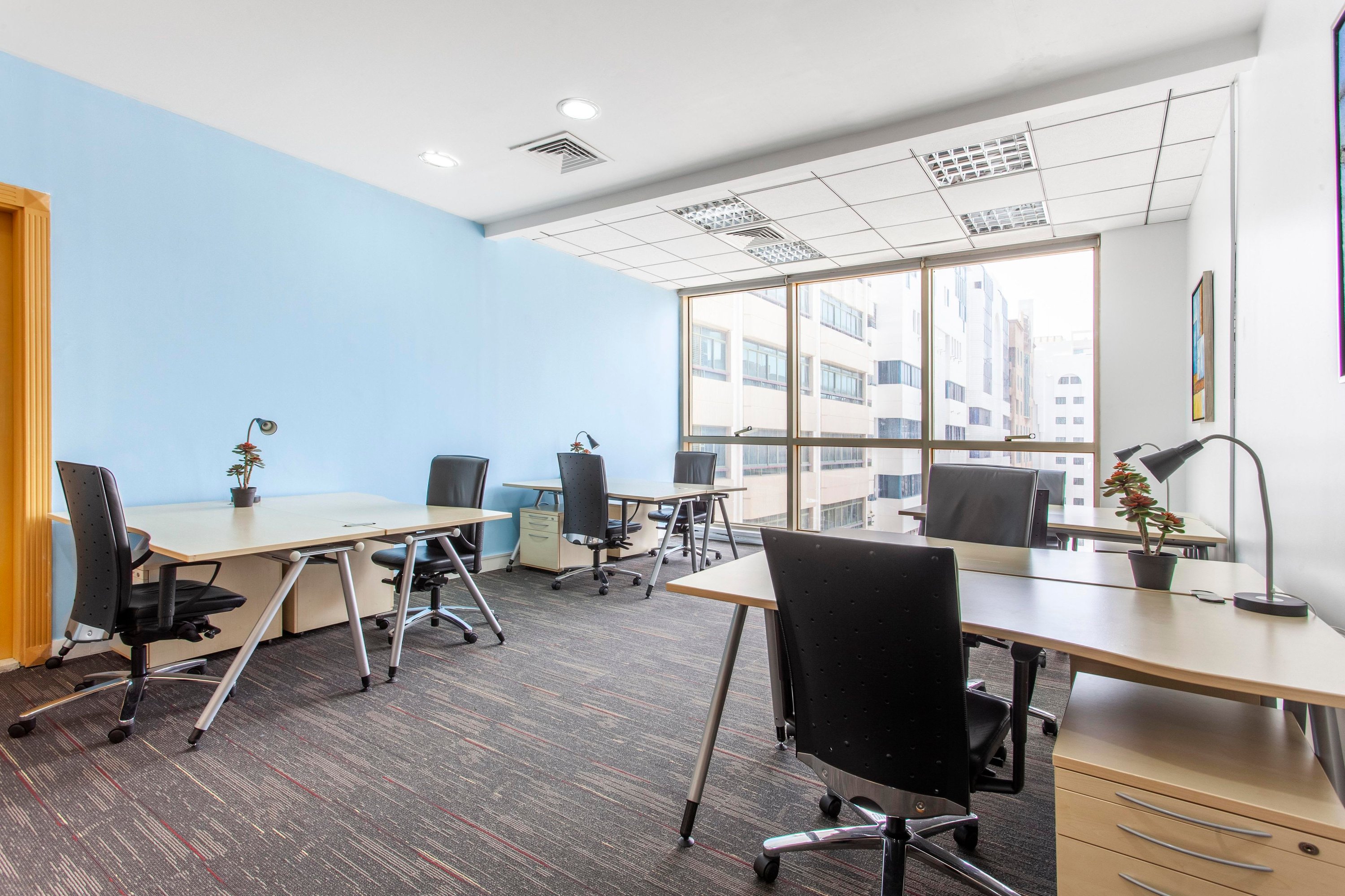 3665206
