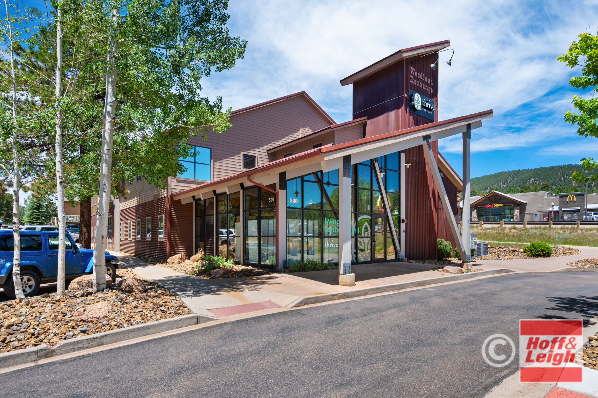509 Scott Ave, Woodland Park, CO 80863