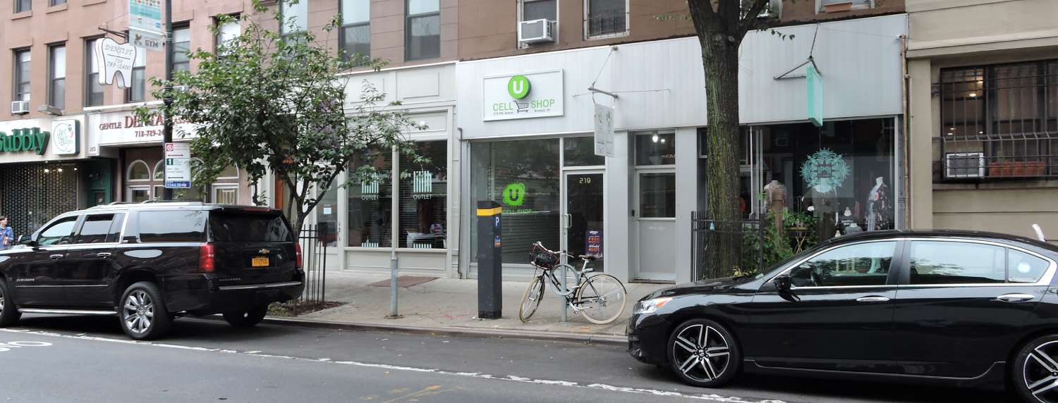 219 5Th Ave, Brooklyn, NY 11215