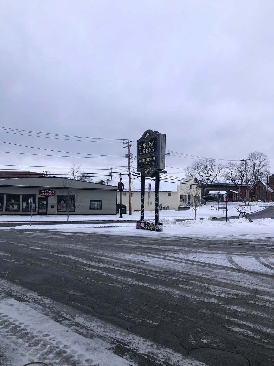 27 Franklin St, Springville, NY 14141