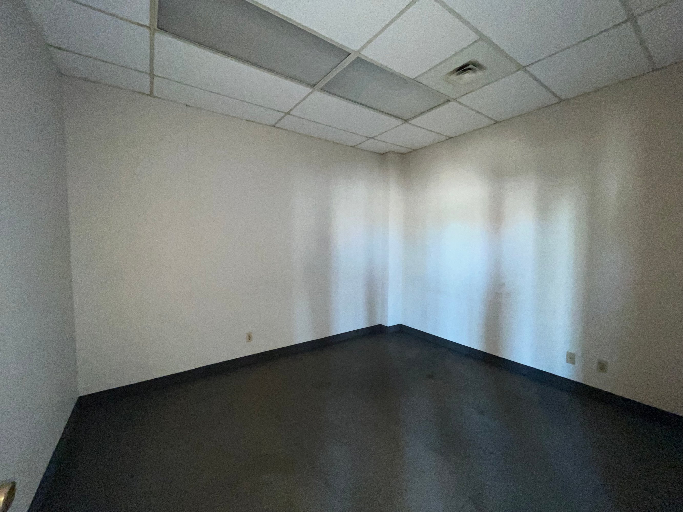2155981