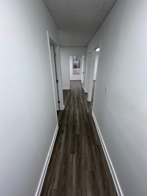 3869230