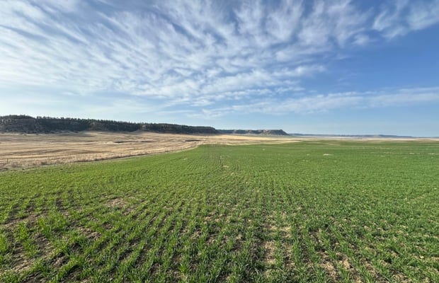 Montana Ranch For Sale | Crexi