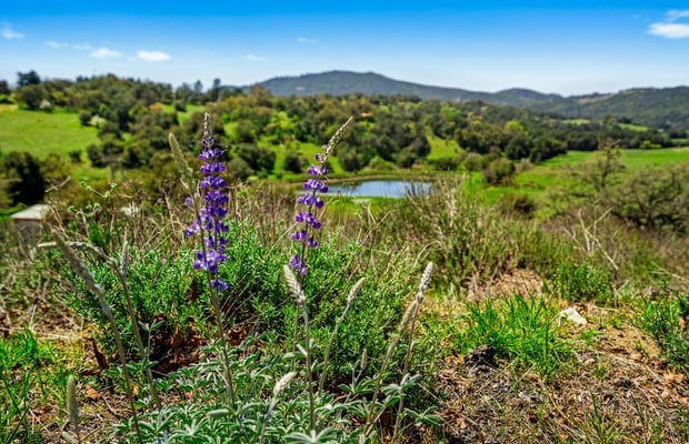 Santa Ysabel, CA Land For Sale | Crexi