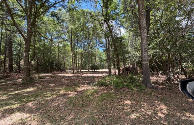Agricultural Land for Sale in South Carolina | Crexi