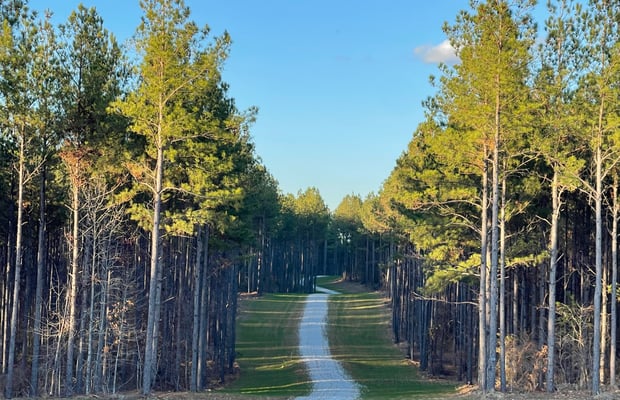 Oglethorpe County, GA Commercial Real Estate Properties For Sale | Crexi