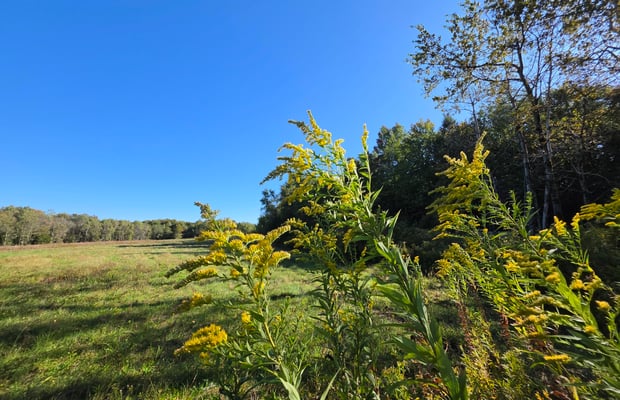 Commercial Land for Sale in Sullivan County, NY | Crexi