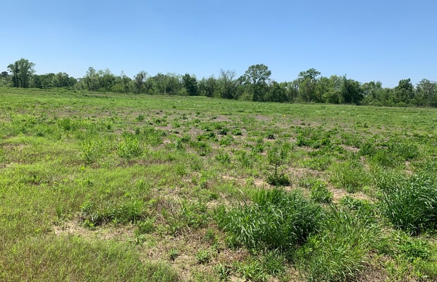 Land for Sale in Natchez, MS | Crexi