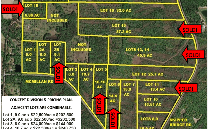 Pictures of Land property located at 4000 Skipper Bridge Rd, Hahira, GA 31632 for sales - image #1