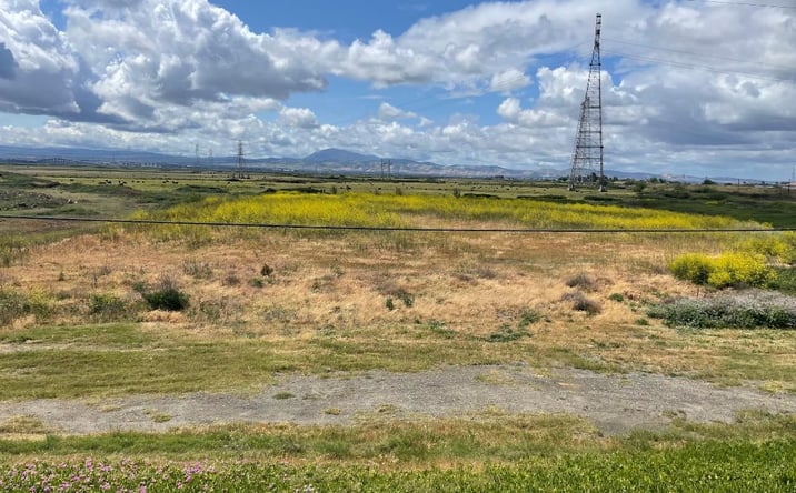 Pictures of Land property located at Sherman Island East Levee Rd, Rio Vista, CA 94571 for sales - image #1