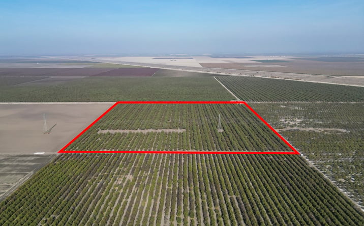 Pictures of Land property located at W Dinuba Ave, San Joaquin, CA 93660 for sales - image #1