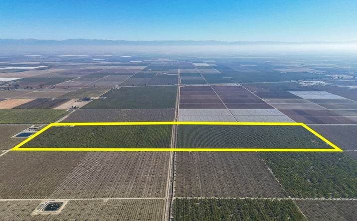Pictures of Land property located at Rd 128, Earlimart, CA 93219 for sales - image #1