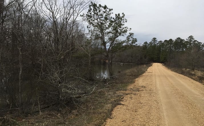 Pictures of Land property located at Ashley Hardwood 79, Crossett, AR 71635 for sales - image #1