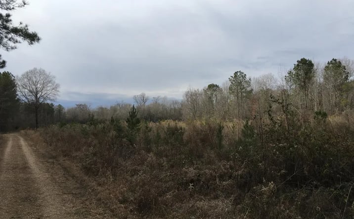 Pictures of Land property located at Split Creek, Crossett, AR 71635 for sales - image #1