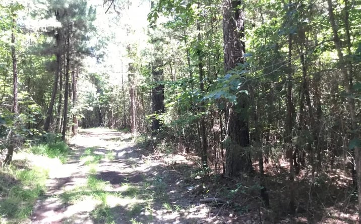 Pictures of Land property located at Bandy North East, Little Rock, AR 72223 for sales - image #1
