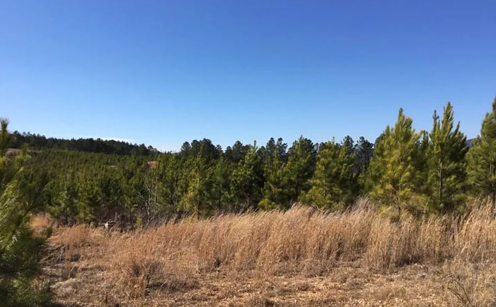 Pictures of Land property located at N Marble Church Rd., Hot Springs, AR 71949 for sales - image #1