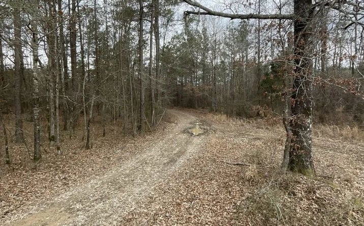 Pictures of Land property located at Bradshaw Brake, Star City, AR 71667 for sales - image #1