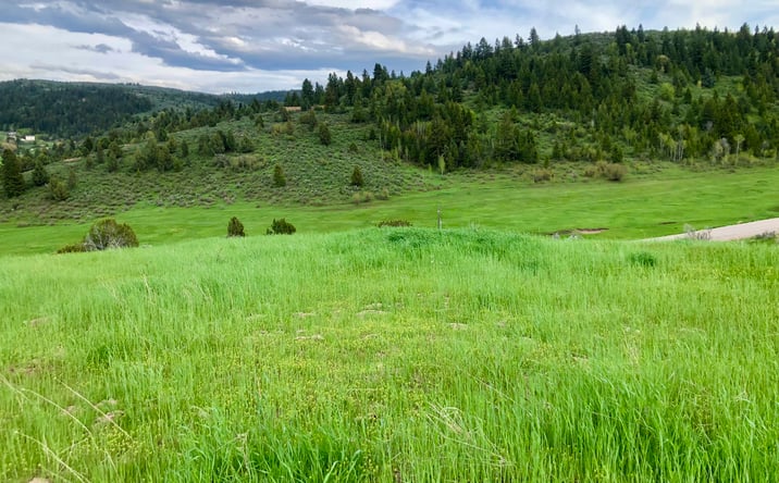 Pictures of Land property located at Angileen's Way, Lava Hot Springs, ID 83246 for sales - image #1