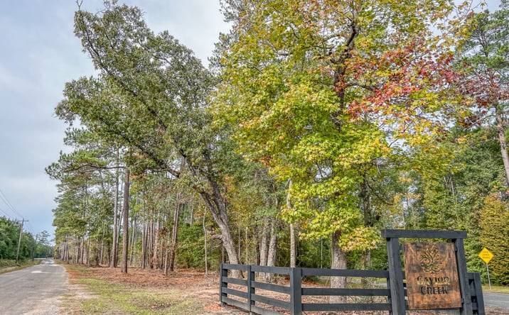 Pictures of Land property located at County Rd 2305S, Macedonia, TX 77327 for sales - image #1