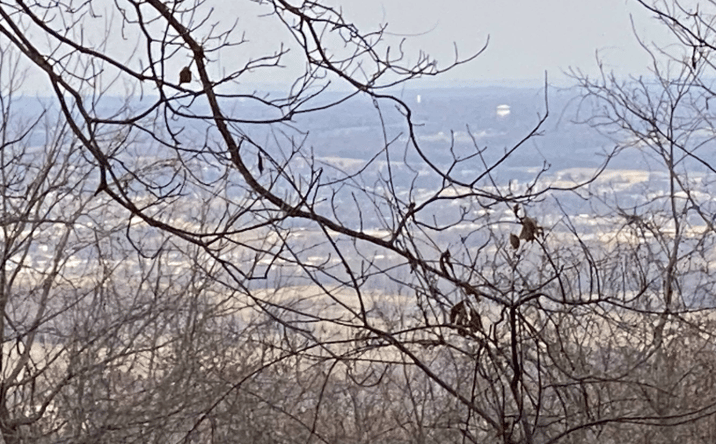 Pictures of Land property located at Creel Rd, Harrison, AR 72601 for sales - image #1