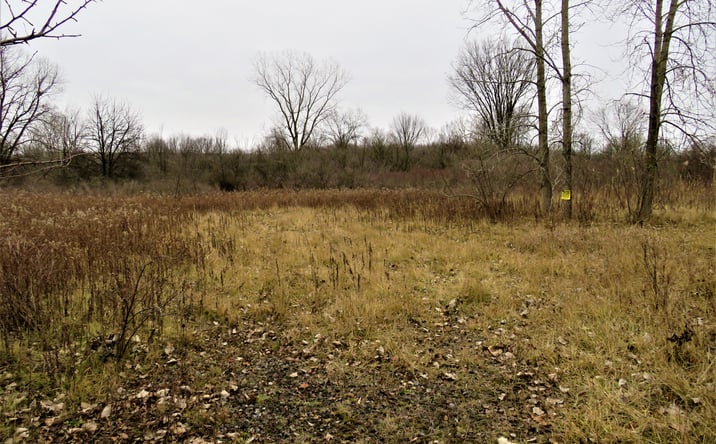 Pictures of Land property located at 15501 Metro Parkway, Clinton Township, MI 48036 for sales - image #1