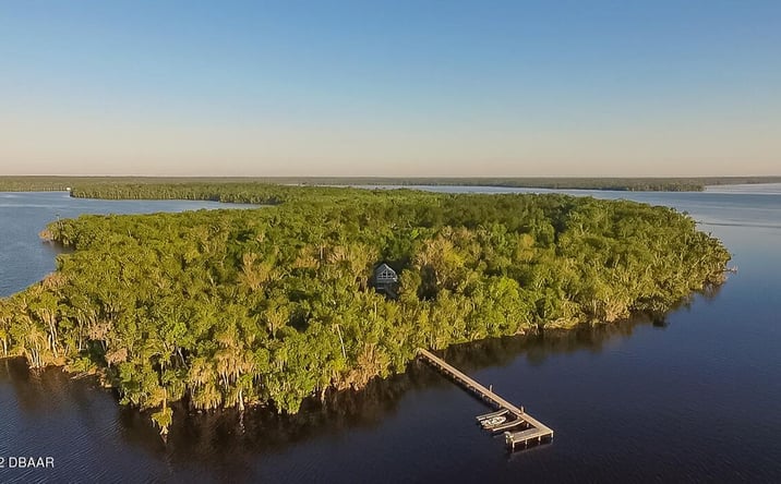 Pictures of Land property located at 162 Hog Island Dr, Georgetown, FL 32139 for sales - image #1