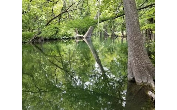 Pictures of Land property located at 202 Shallow Springs Dr, Spring Branch, TX 78070 for sales - image #1