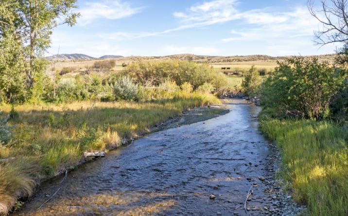 Pictures of Land property located at 726 Lower Deep Creek Road, Townsend, MT 59644 for sales - image #1