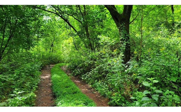 Pictures of Land property located at 4843 Stanaford Prince, Prince, WV 25907 for sales - image #1