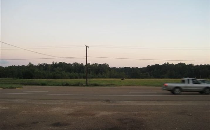 Pictures of Land property located at 000b Hwy 61 North, Natchez, MS 39120 for sales - image #1