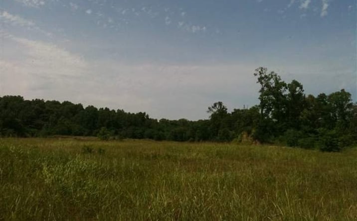 Pictures of Land property located at 0001 River Terminal Rd, Natchez, MS 39120 for sales - image #1
