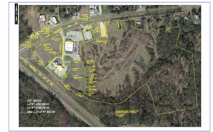 Pictures of Land property located at 61 US-61, Natchez, MS 39120 for sales - image #1