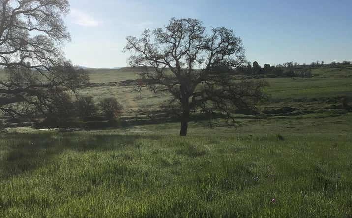 Pictures of Land property located at 10232 Gregory Rd, Valley Springs, CA 95252 for sales - image #1