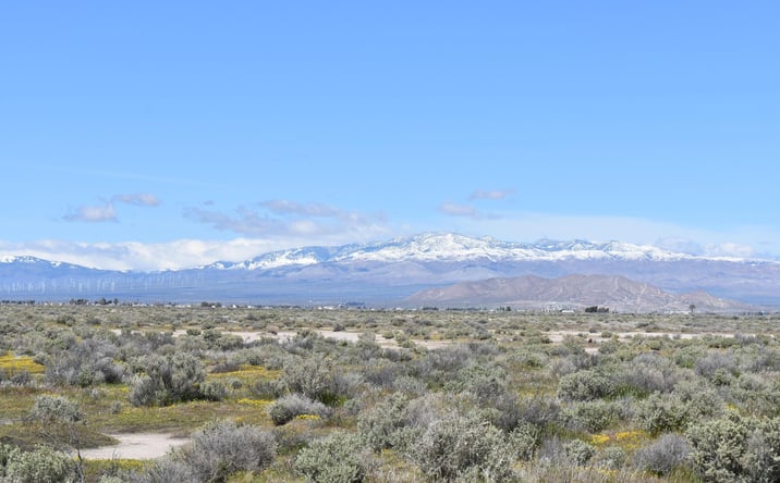 Pictures of Land property located at 135th St W & Ave D4, Quartz Hill, CA 93536 for sales - image #1