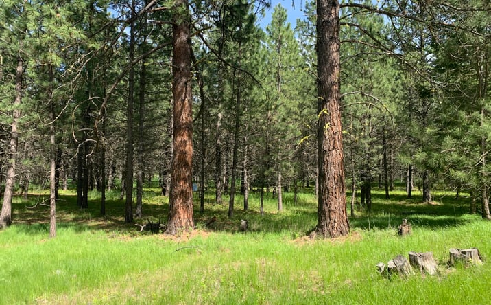 Pictures of Land property located at 131 Break Road, Libby, MT 59923 for sales - image #1
