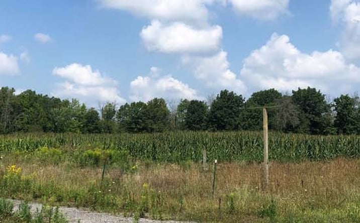 Pictures of Land property located at 3901 Niagara Falls Boulevard, North Tonawanda, NY 14120 for sales - image #1
