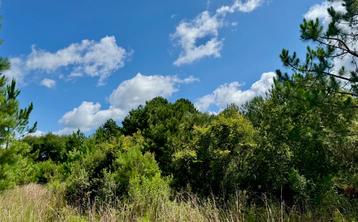 Pictures of Land property located at 650 Benjamin H Hill Dr W, Fitzgerald, GA 31750 for sales - image #1