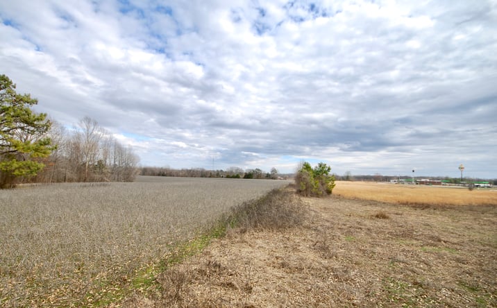 Pictures of Land property located at Bedford White Rd, Jackson, TN 38305 for sales - image #1
